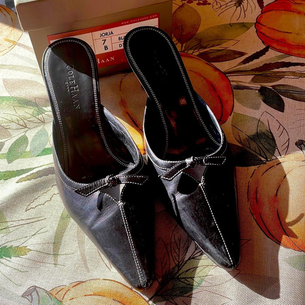 Cole Haan Mule
